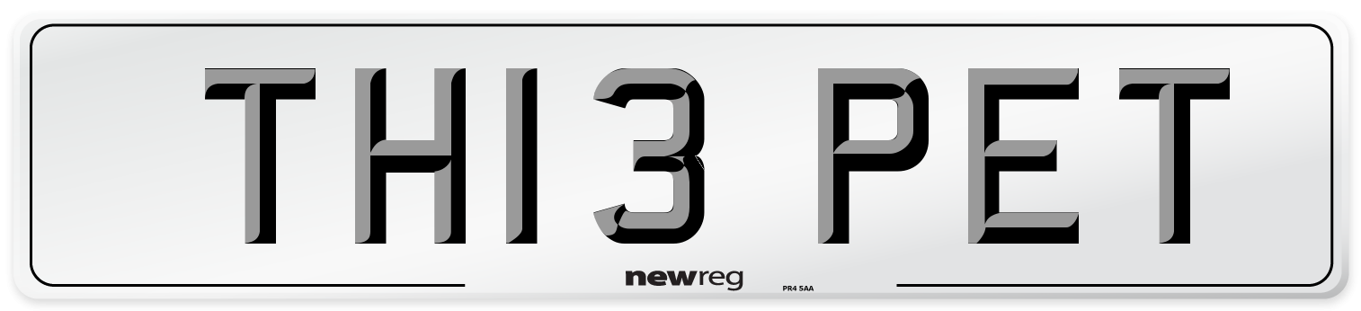 TH13 PET Number Plate from New Reg